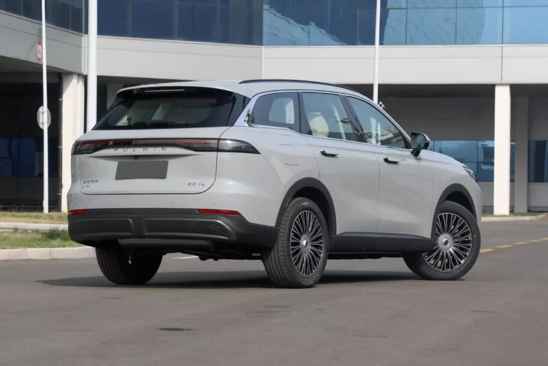 Chery Fulwin T9