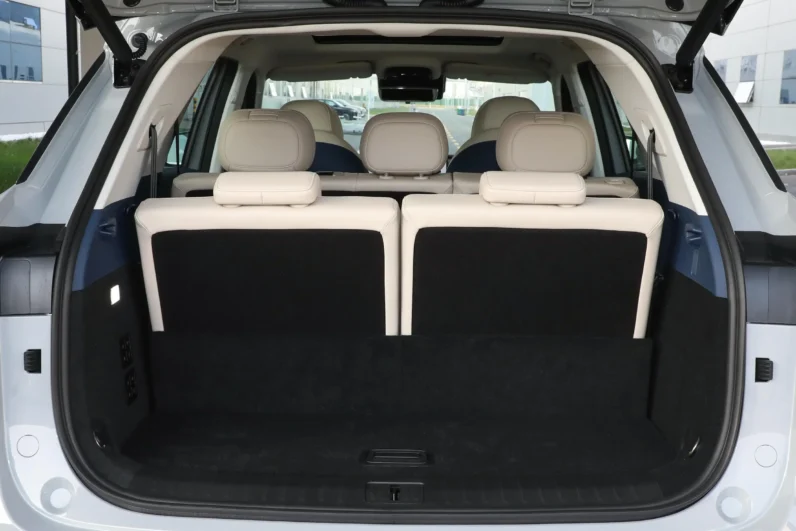 Chery Fulwin T9