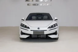 Denza Z9GT DM