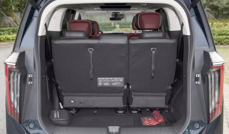 
								GAC Trumpchi E9 PHEV full									