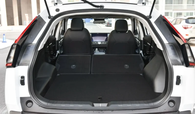 
								GAC Trumpchi Emkoo full									