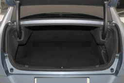 GWM Ora Lightening Cat